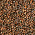 Black Pepper
